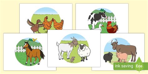 Farm Animals Bedroom Decoration Display Posters