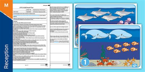 EYFS Comparing Groups of Sea Creatures Adult Input Plan