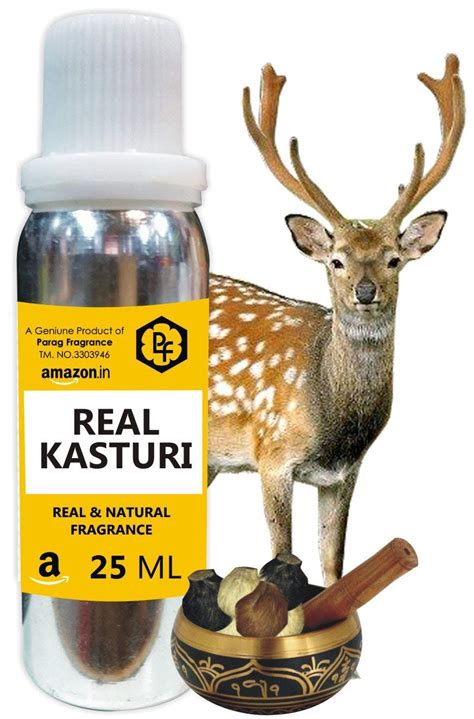 Parag Fragrances Real Kasturi 25Ml Premium Alcohol Free Attar For ...