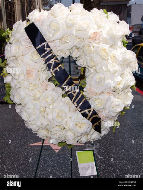 The Hollywood Walk of Fame Star for Mike Wallace is covered with ...