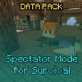 Image result for Enable Spectator Mode Java