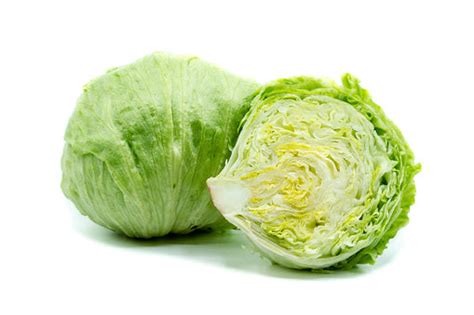 Growing Iceberg Lettuce is easy at home- Know how – Urja Seeds