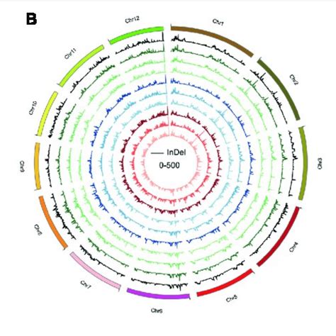 Genome Variation 的图像结果