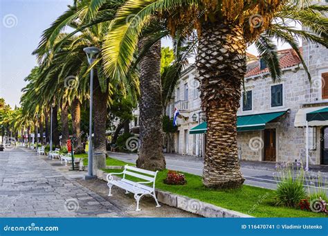 A Street with Large Palm Trees Along the Quay in the Port. Adriatic ...