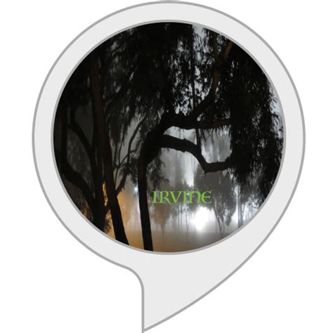 Amazon.in: Game Of Irvine : Alexa Skills