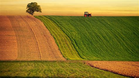 Bahrain's Agricultural Sector Flourishes; Record-Breaking Production and Exports | World ...