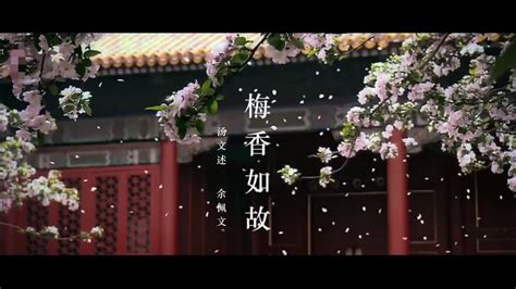 梅香如故 （带念白）原唱：周深/毛不易; 翻唱：佳佳/林三 - YouTube