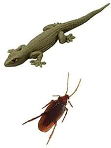 Buy AGC Fake Cockroach and Lizard Fun Prank Toys for Kids and Adult ...