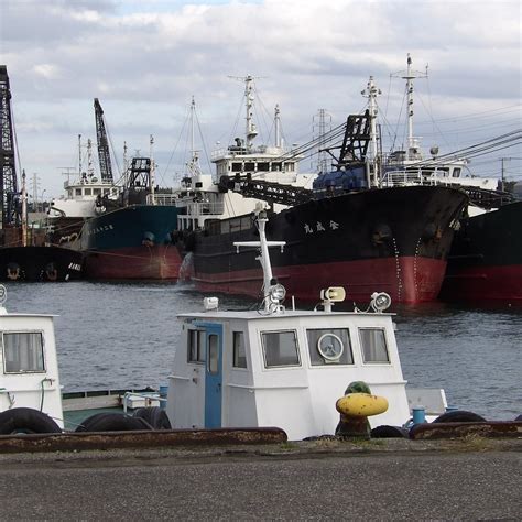 NAGAURA PORT (2026) All You Need to Know BEFORE You Go (with Photos ...