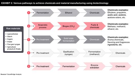 Biotechnology Process 的图像结果