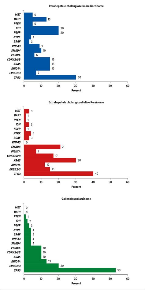 Systemtherapie des cholangiozellulären Karzinoms - Onkologie ...