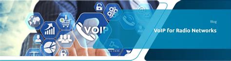 VoIP Networks 的图像结果