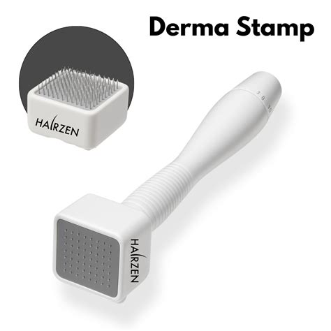 HAIRZEN Adjustable Derma Stamp | 140 Titanium Microneedles | 0.25mm–3 ...