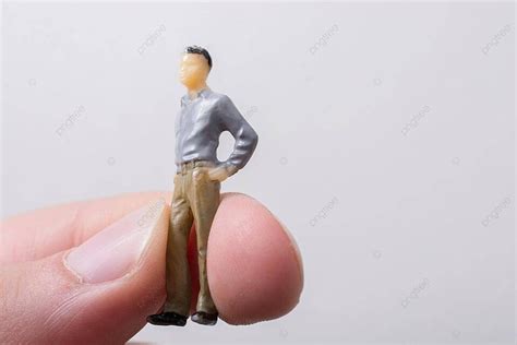 Model Figure 的图像结果