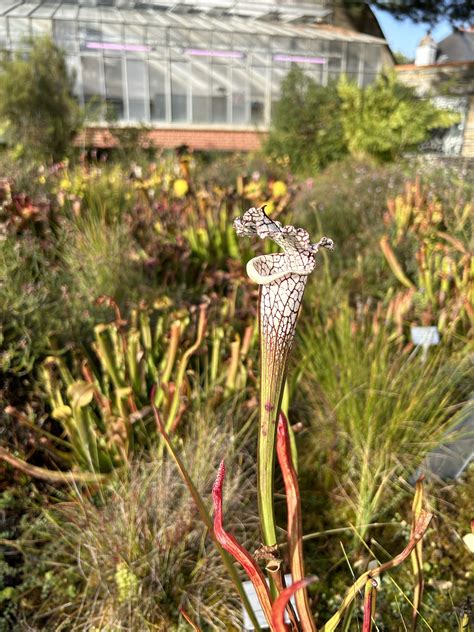 Gardens of France: Nantes - Dyck Arboretum