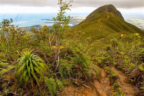 Temperate Woodland Shrubland Rocks