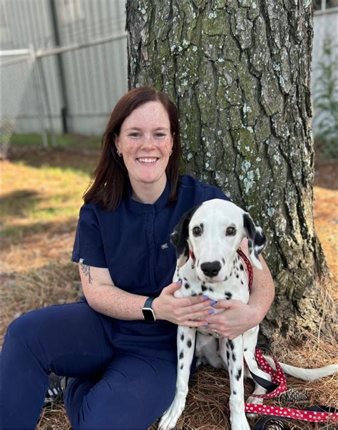 Igh Animal Hospital Mn