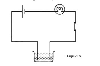 Paheli set up an experiment using liquid A in the beaker as shown in ...