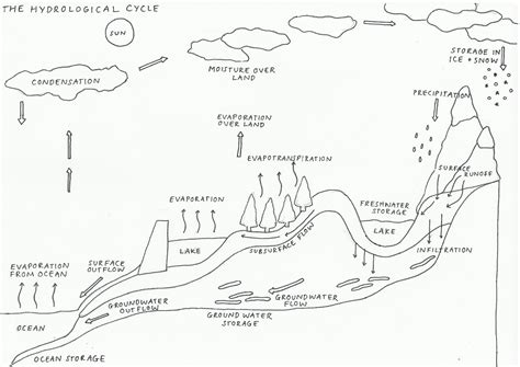 Hydrologic Cycle Definition Geography at Joan Fleming blog