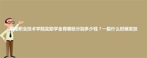 铜陵职业技术学院奖助学金有哪些分别多少钱？一般什么时候发放_大学动态 - 高考必中网