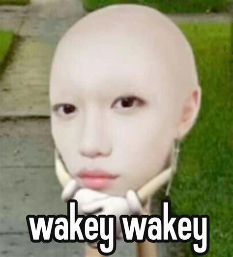 wakey wakey 👹👹 in 2025 | Funny pictures for kids, Silly kids, Funny kids