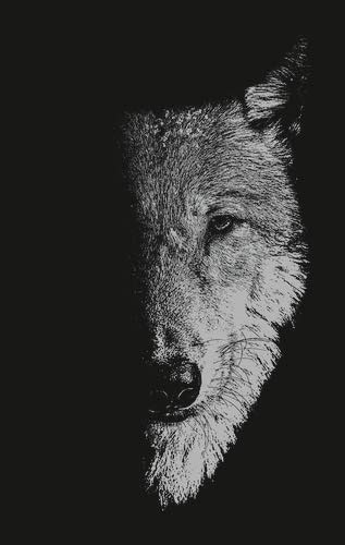 In the company of wolves: Werewolves, wolves and wild children ...