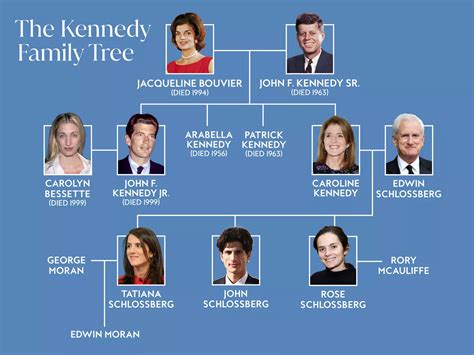 A Full Guide to the Kennedy Family Tree