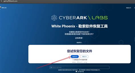 White Phoenix 开源勒索软件解密器 - 🔰雨苁ℒ🔰