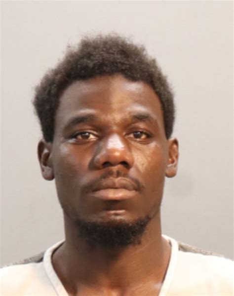 Knoxville police identify suspect in deadly stabbing, identify axe as ...