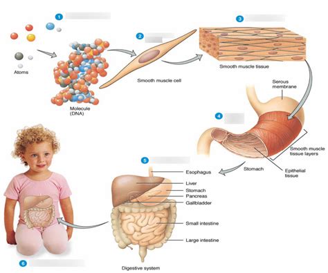 Example of System Structure 的图像结果