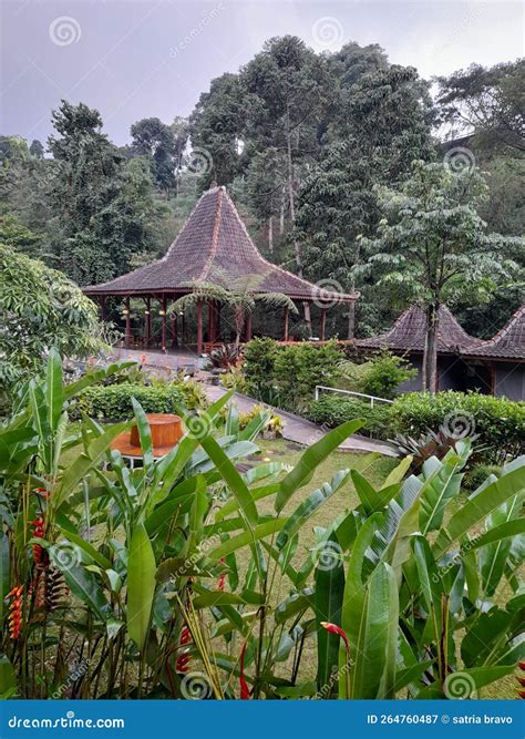 West Java 的图像结果