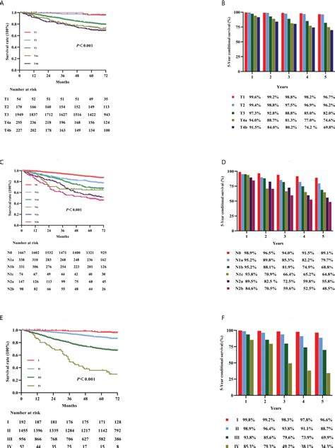 Frontiers | Real-world survival of colon cancer after radical surgery: A single-institutional ...