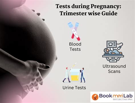 Tests During Pregnancy: Trimester Wise Complete Guide [2024]