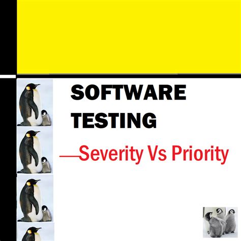 Image result for Example of Severity and Priority Testing