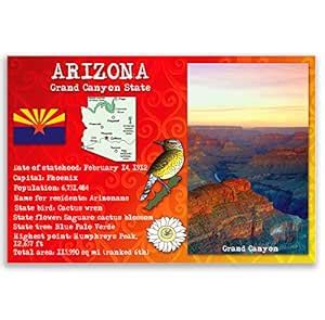 Postcard Fair ARIZONA STATE FACTS set of 20 identical postcards. Post ...