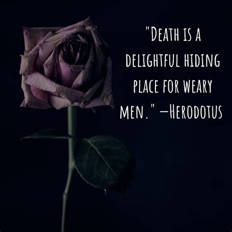 Dark Humor Quotes About Death at Mikayla Gascoigne blog