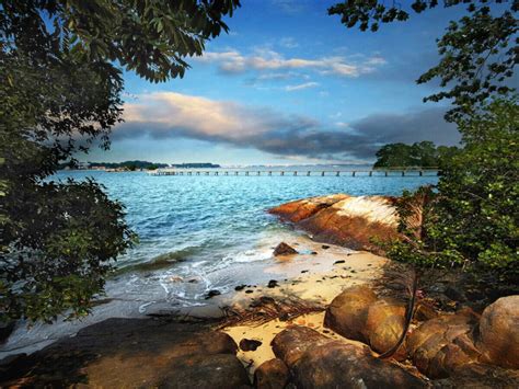 Chek Jawa - Singapore: Get the Detail of Chek Jawa on TimesTravel