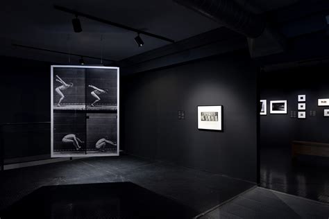 Tour of Movement Exercises (After Muybridge) - UCR ARTS