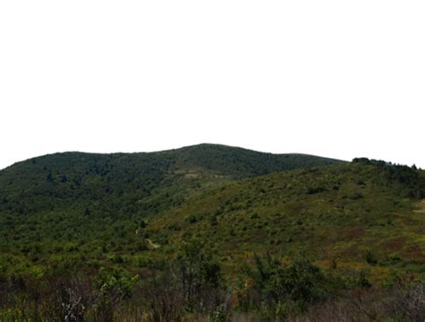 Environment PNG 的图像结果