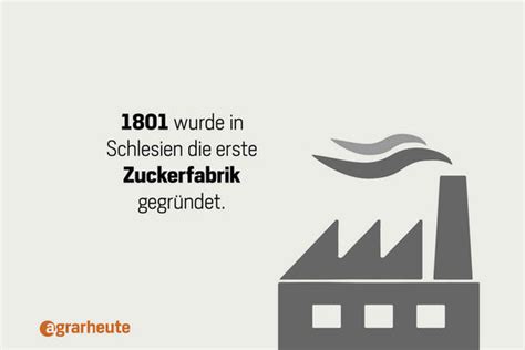 Zucker, Energie, Tierfutter, Kraftstoffe: 25 Fakten zu Rübe und Rohr ...