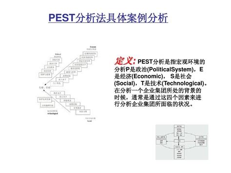 PEST分析案例_word文档免费下载_文档大全