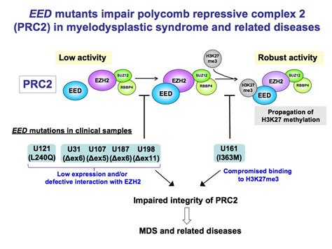Image result for Problem Formulation Slide