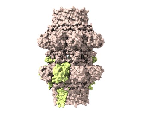 Bose-Einstein-Kondensat (@MWNautilus@mstdn.social) - Mastodon 🐘