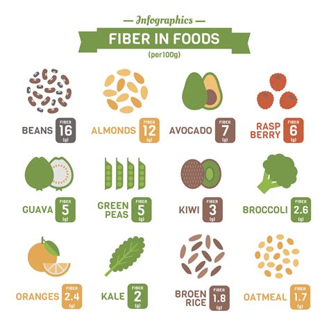 How Much Fiber Should An Adult Get Per Day? - Ethical Inc