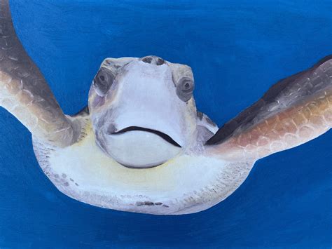 Maike Kowal — Edisto Art Guild