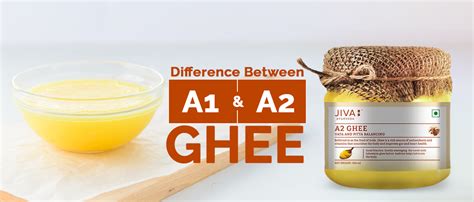 Understanding A1 vs A2 Cow Ghee: Key Differences & Health Benefits ...