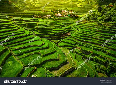 World Heritage Ifugao Rice Terraces Batad Stock Photo 634025597 ...