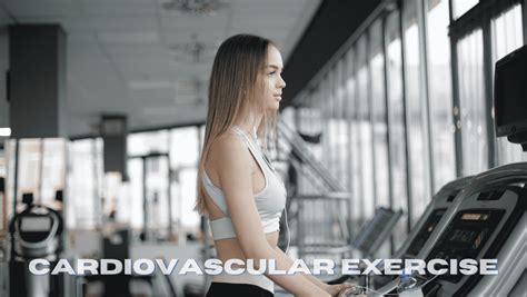 Image result for Exercise Examples Cardiovasculas