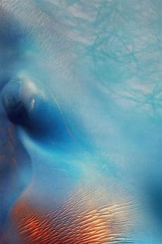 Iphone 7 Default Wallpaper by Freeios7 An67 Iphone6s Ios9 Default Still Texture Iphone 7 Default Wallpaper
