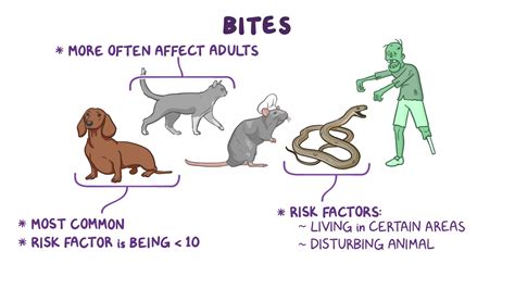 Animal and snake bites: Nursing - Osmosis Video Library